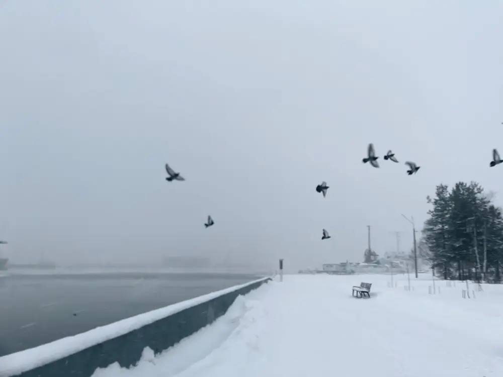 Vista de la ciudad de Arkhangelsk, Rusia, marzo de 2022.