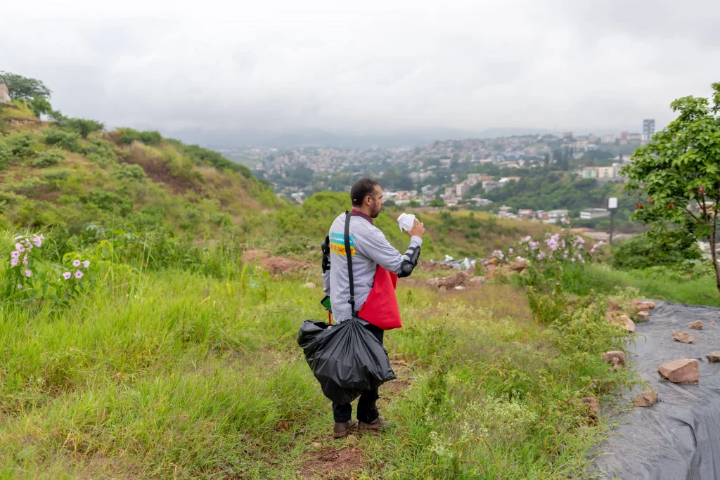 Un integrante de MSF libera mosquitos con Wolbachia en el proyecto de prevención contra el dengue.