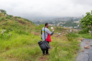 Un integrante de MSF libera mosquitos con Wolbachia en el proyecto de prevención contra el dengue.