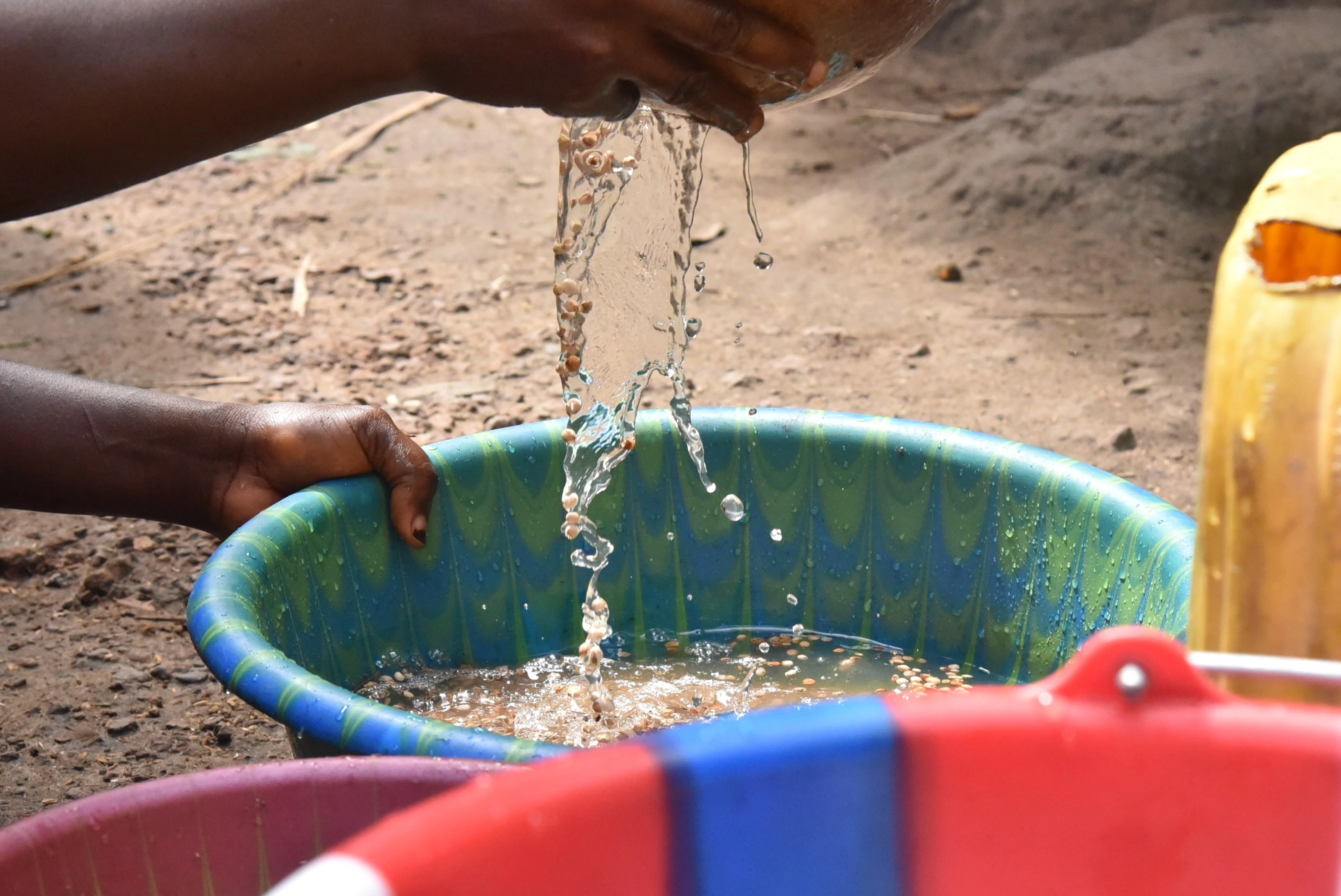 Guisantes de ojo negro lavados con agua extraída de un pozo perforado por MSF en la aldea de Masiperr, distrito de Tonkolili, Sierra Leona.