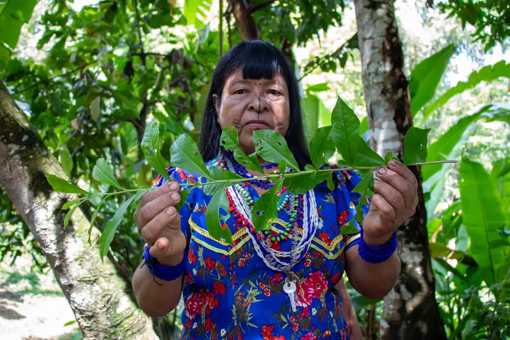 Rogelina Arce, sanó simbólicamente con hierbas la fotografía de la calle principal de la comunidad, marcada por una incursión armada reciente. Taller de fotografía en Puesto Indio, Alto Baudó, Chocó.