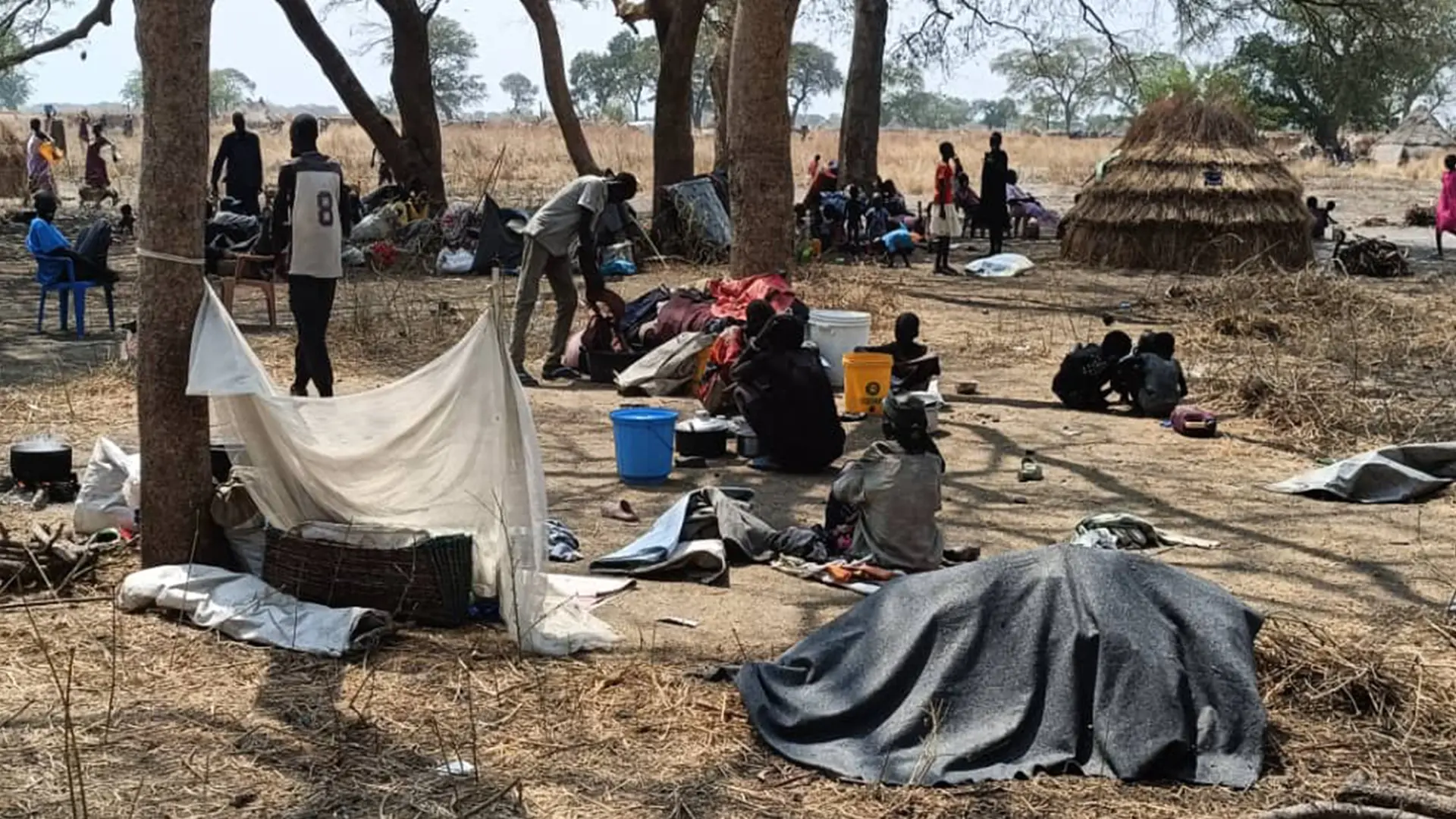 Las familias se refugian bajo los árboles en Nyatim, donde las personas desplazadas viven al aire libre sin refugio adecuado, comida ni acceso a atención sanitaria básica tras huir de la violencia en Lankien y las zonas circundantes. Sudán del Sur.
