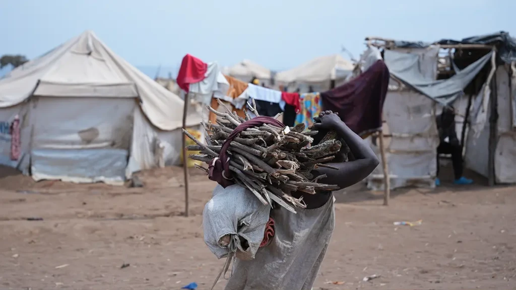 Un refugiado lleva un manojo de leña a la espalda en el campo de refugiados de Busuma, Burundi. La leña se ha vuelto cada vez más escasa en Busuma.
