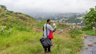 Un integrante de MSF libera mosquitos con Wolbachia en el proyecto de prevención contra el dengue.