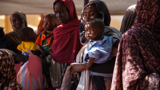 Los equipos de MSF brindan alimentos terapeúticos en el campo de Zamzam.