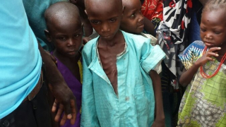 Displaced people in dire health situation in Bama